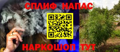 индика Вязники