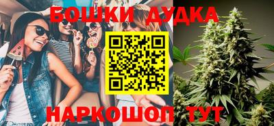 индика Вязники